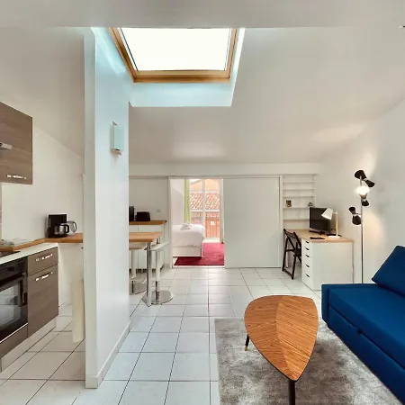 アパート Petit Appartement En Plein Coeur De Toulouse トゥールーズ
